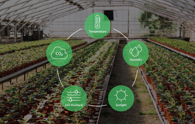 Climate control sensors in a greenhouse, documentary photography